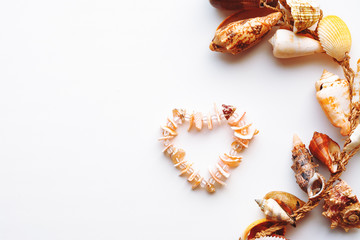 a necklace of pink shells in the shape of a heart.shell frame on white background.with copy space