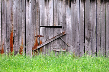 Barred and Overgrown