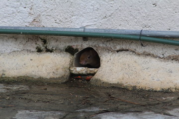 Outside 