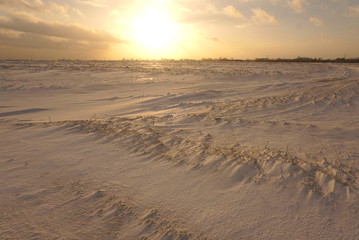 Fototapeta na wymiar the field is covered with snow at sunset