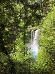 waterfall in forest