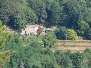 Naklejka premium Monte Greppino (Liguria, Varazze, Savona), Strade Celtiche