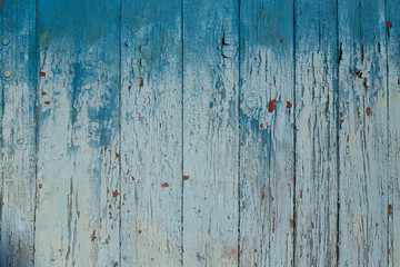 Aged Natural Old Blue Color Obsolete Wooden Board Background. Grungy Vintage Wooden Surface. Painted Obsolete Weathered Texture Of Fence