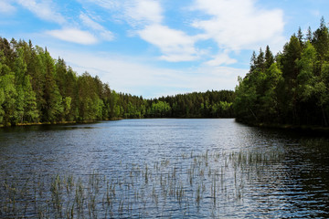 View of a Finish / Scandinavian lake surrounded by trees during perfect weather with blue waves (Finland, Europe)
