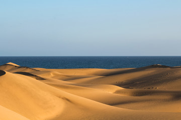 Fototapeta na wymiar Long shadows on cascading sand dunes in the desert with view of the ocean / sea during sunset (Dunas de Maspalomas, Gran Canaria, Spain, Europe)