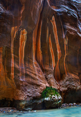Zion's Narrows