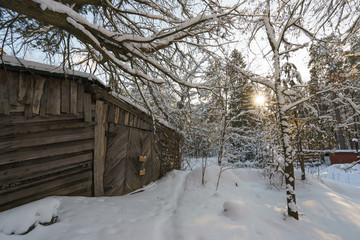 Naklejka premium Snow russian winter. Beautiful landscape at that cold time when the nature had been frozen. Nature is resting.