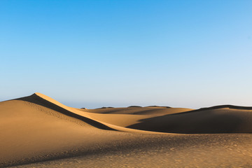Fototapeta na wymiar Cascading sand dunes in the vast desert casting long shadows during sunset (Dunas de Maspalomas, Gran Canaria, Spain, Europe)