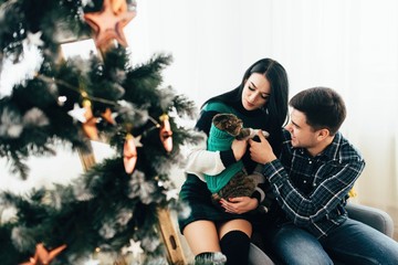 Couple in love lying near Christmas tree and playing with cat at home
