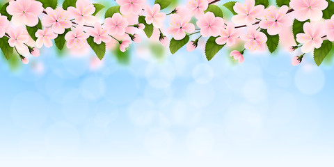 Fototapeta na wymiar Vector spring background (2: 1) pink, blue and green. Flowers of cherry (sakura) against the sky. EPS 10.