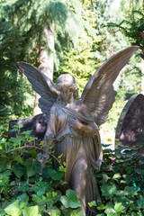 Schöner Engel im grünen