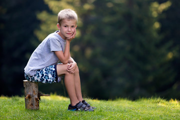 Young cute blond child boy sitting on tree stump on green grassy clearing on bright summer day.