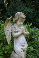 schöner betender Engel