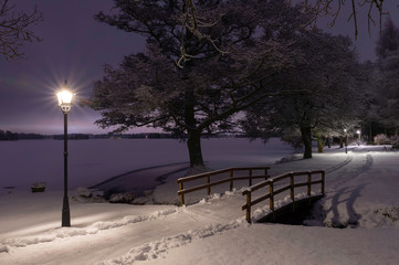 Night winter scene