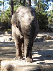 zoo 5