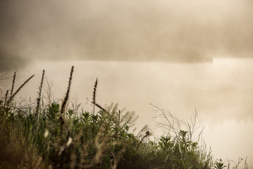 misty morning by the lake