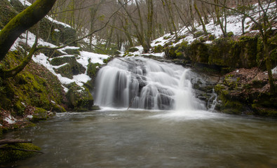 Obraz premium waterfall in forest