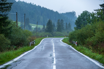wavy asphalt road in mountain area in forest