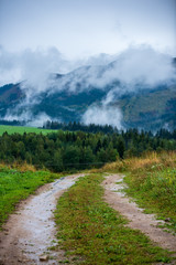 Fototapeta na wymiar wavy asphalt road in mountain area in forest