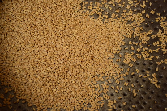 brown flax seeds background