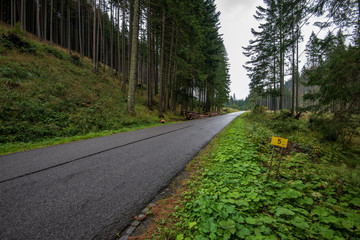 wavy asphalt road in mountain area in forest