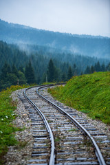 Fototapeta na wymiar wavy log railway tracks in wet green forest with fresh meadows