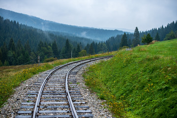 wavy log railway tracks in wet green forest with fresh meadows