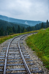 Fototapeta premium wavy log railway tracks in wet green forest with fresh meadows