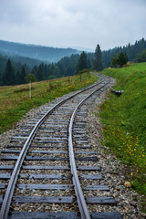 wavy log railway tracks in wet green forest with fresh meadows