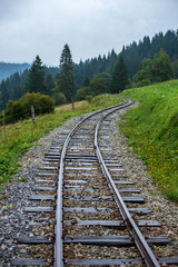 wavy log railway tracks in wet green forest with fresh meadows