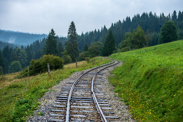 wavy log railway tracks in wet green forest with fresh meadows