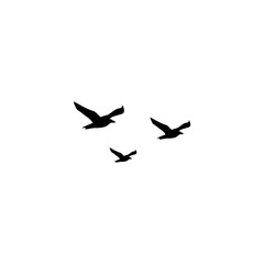 Seagull icon or logo on white