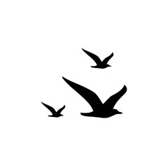 Seagull icon or logo on white