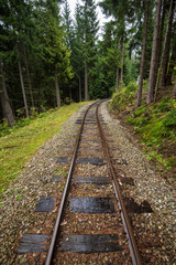 Fototapeta premium wavy log railway tracks in wet green forest with fresh meadows
