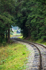 Obraz premium wavy log railway tracks in wet green forest with fresh meadows