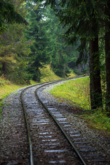 wavy log railway tracks in wet green forest with fresh meadows