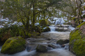waterfall in forest