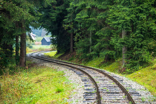 wavy log railway tracks in wet green forest with fresh meadows