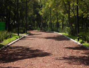 Running track inside forest in Mexico City