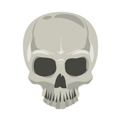 Human skull drawing