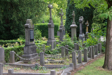 alter Friedhof in Holland