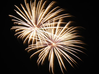 fireworks XIV