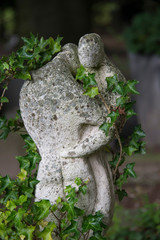 Innige Umarmung im Efeu