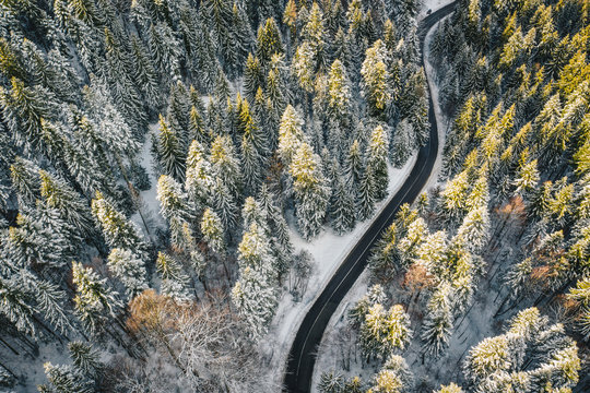Mountain winter road in the middle of the forest