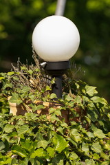  White garden lamp