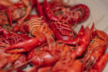 Boiled crayfish with dill on wooden background