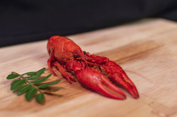 Boiled crayfish with dill on wooden background