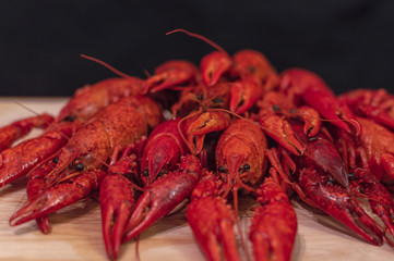 Boiled crayfish with dill on wooden background