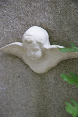 Obraz premium Kleiner Engel, Putte