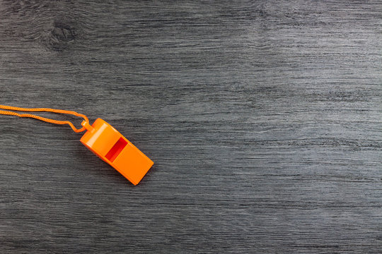 SILBATO NARANJA SOBRE FONDO DE MADERA GRIS